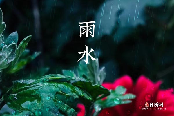 雨水下雨绿叶红花.jpg