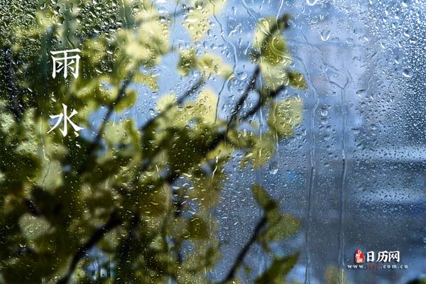 雨水文字玻璃雨水和绿叶.jpg