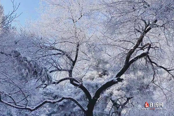 2021年什么时候开始交九