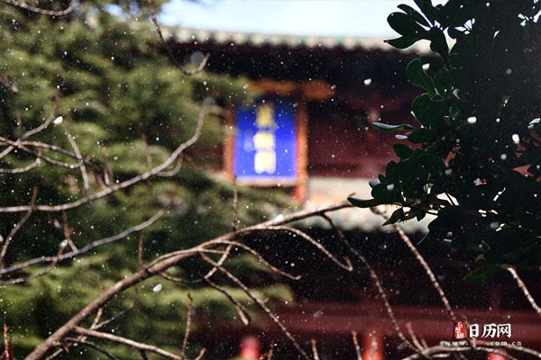 2022年过年天气怎么样