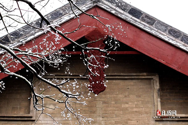 雪后，古建筑旁带有雪花的树枝