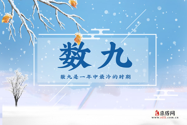 2021年数九是从哪天到哪天