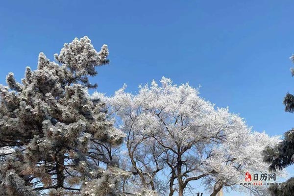 冬至过后哪天开始数九