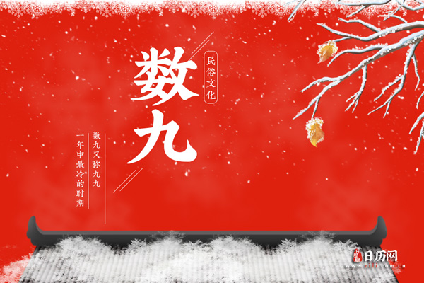 2023数九天从什么时候开始算起的