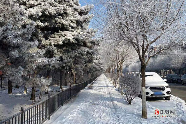 雪景下雪冬季冬天风光树林风景街道建筑