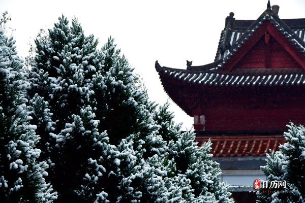 2022年四九天时间表，2022年四九天从什么时候开始 