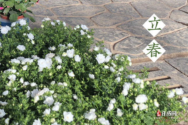 2022年有几个立春？是双春年吗？