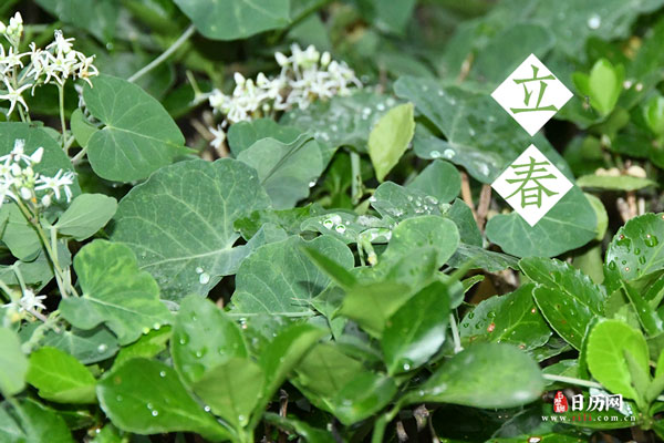 早立春的说法，立春早了会怎么样