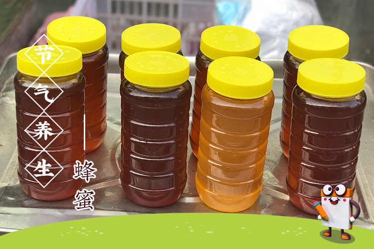 雨水吃蜂蜜