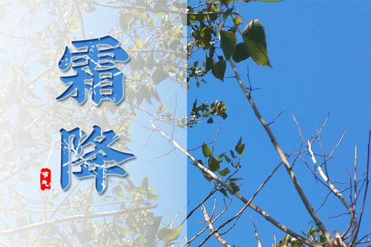 霜降素材.jpg