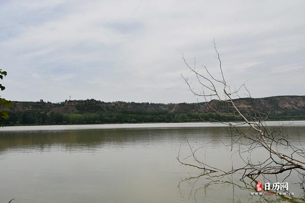 湖水枯枝风景