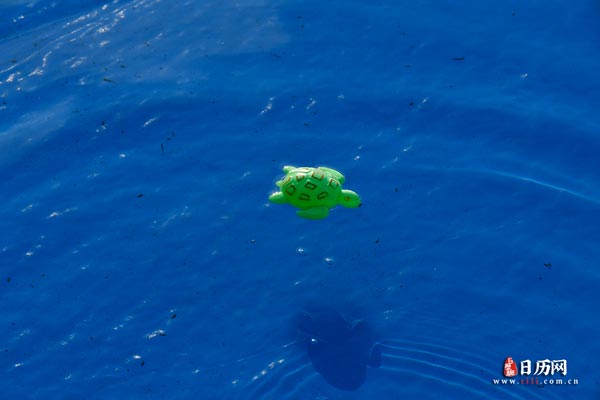 儿童水上乐园玩具海洋球浮在水面上