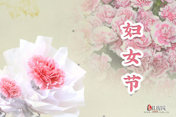 妇女节康乃馨花束
