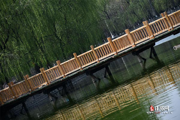 倒影湖面逛公园过浮桥
