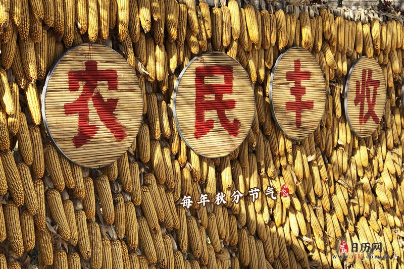 9.23中国农民丰收节