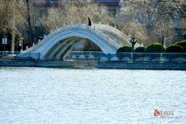 风景小桥流水 风景小桥流水