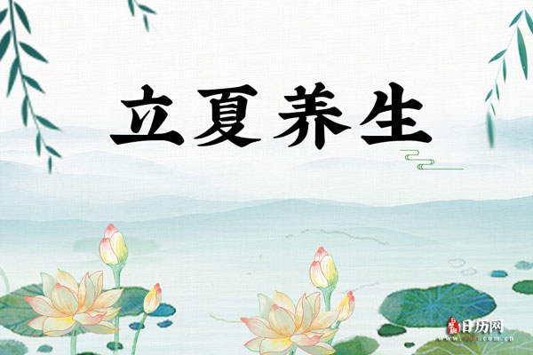 立夏养生荷叶荷花