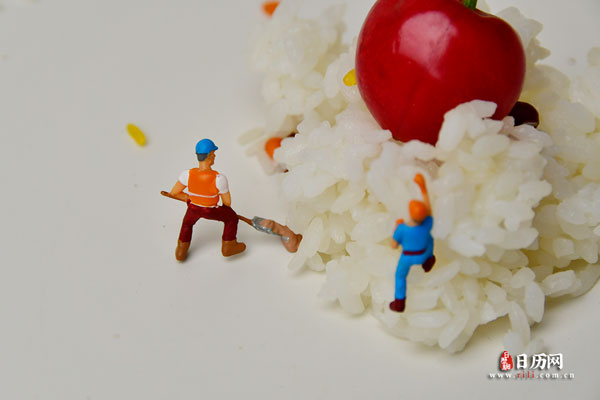 微缩摄影之米饭
