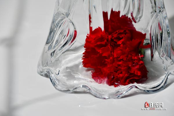 玻璃瓶里的一朵康乃馨