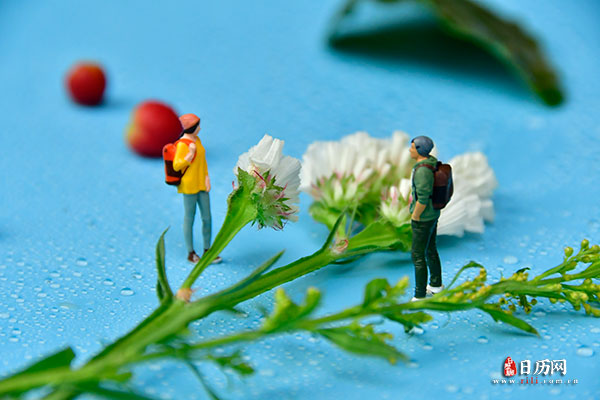 情人节微缩摄影之情侣隔花站立