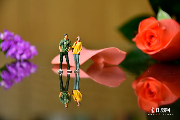 情人节微缩摄影之情侣站在玫瑰花瓣前