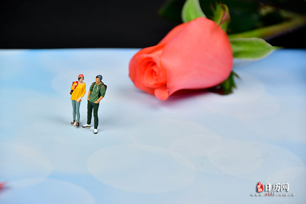 情人节微缩摄影之情侣站在玫瑰花瓣聊天