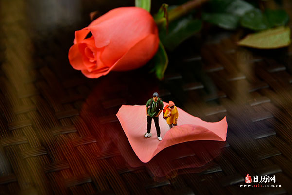情人节微缩摄影之情侣站在玫瑰花瓣上聊天