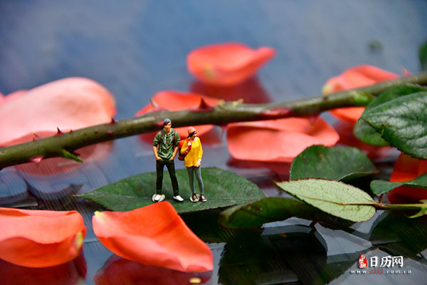 情人节微缩摄影之情侣站在玫瑰花瓣中