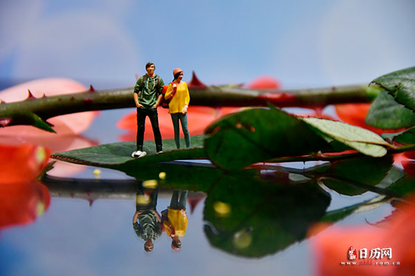 情人节微缩摄影之情侣站在玫瑰花瓣中聊天