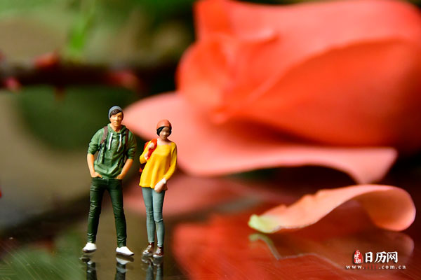 情人节微缩摄影之情侣站在玫瑰花前