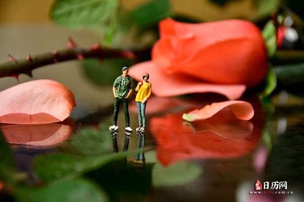 情人节微缩摄影之情侣站在玫瑰花前聊天