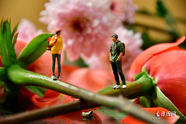情人节微缩摄影之情侣站在玫瑰花枝上