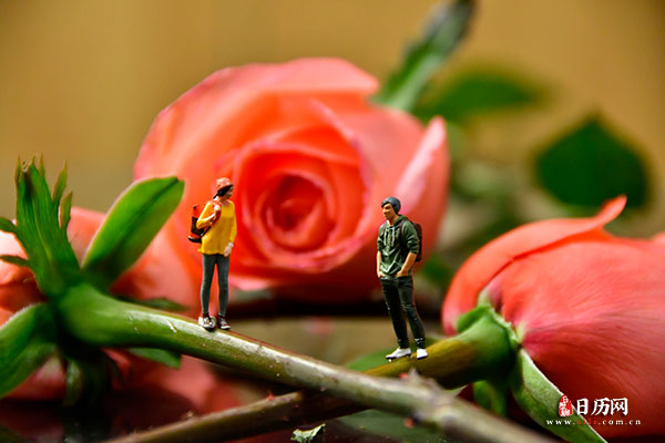 情人节微缩摄影之情侣站在玫瑰花枝上聊天