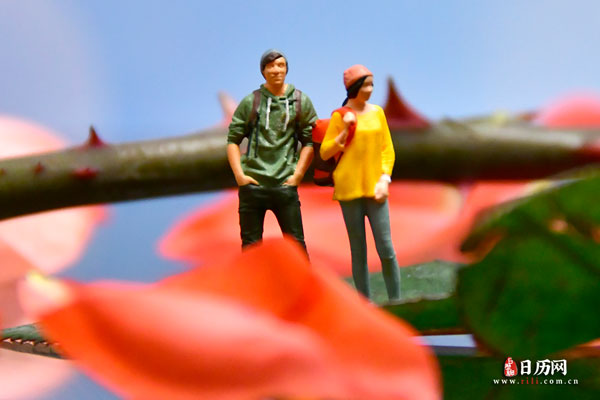 情人节微缩摄影之情侣站在玫瑰花中