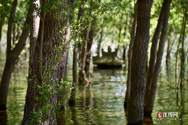 河水小船和树