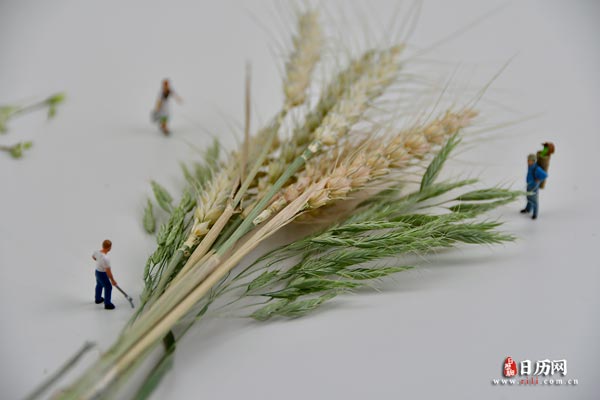 微缩摄影之几人站在一把麦穗旁边