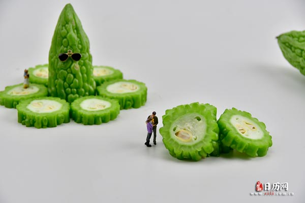 微缩摄影之一家人在苦瓜片旁