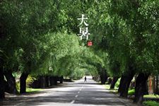 大暑气候,大暑天气