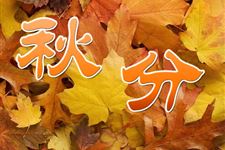 关于描写秋分的诗句大全