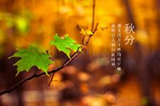 2014年秋分是星期几