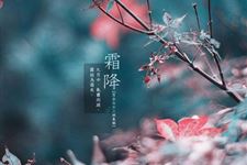 2014霜降是什么意思?霜降的含义是什么?霜降代表什么?