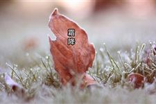 2014霜降节气简介