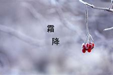 霜降有什么习俗