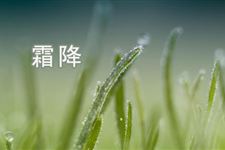 2014年有关霜降的养生知识