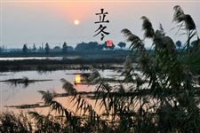 2014年立冬祝福短信大全