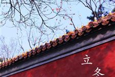2014年立冬时间:11月7日