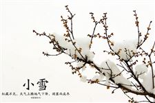 2014年小雪节气是什么时候