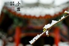 2014年小雪几月几号
