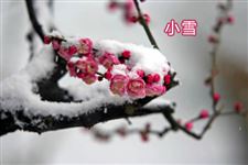 2014年几号小雪