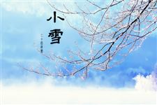 2014年小雪哪一天